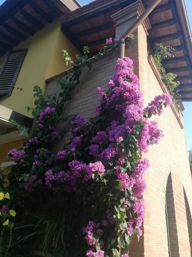 Casolare Isabella "Il Rifugio Dei Vinili" And Alice'S Room Ponsacco Exterior foto